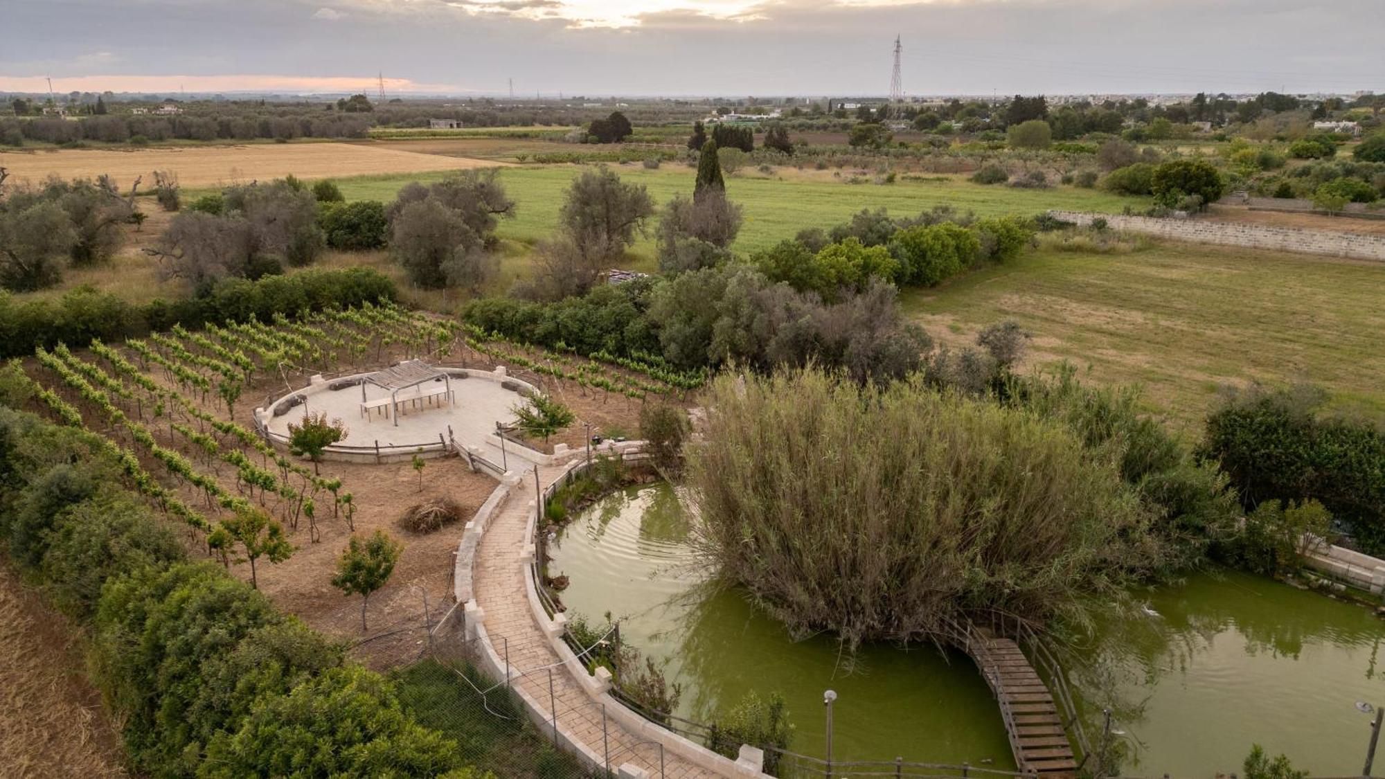 Masseria Messapia Wine Resort & Spa Salento Mesagne Exterior photo